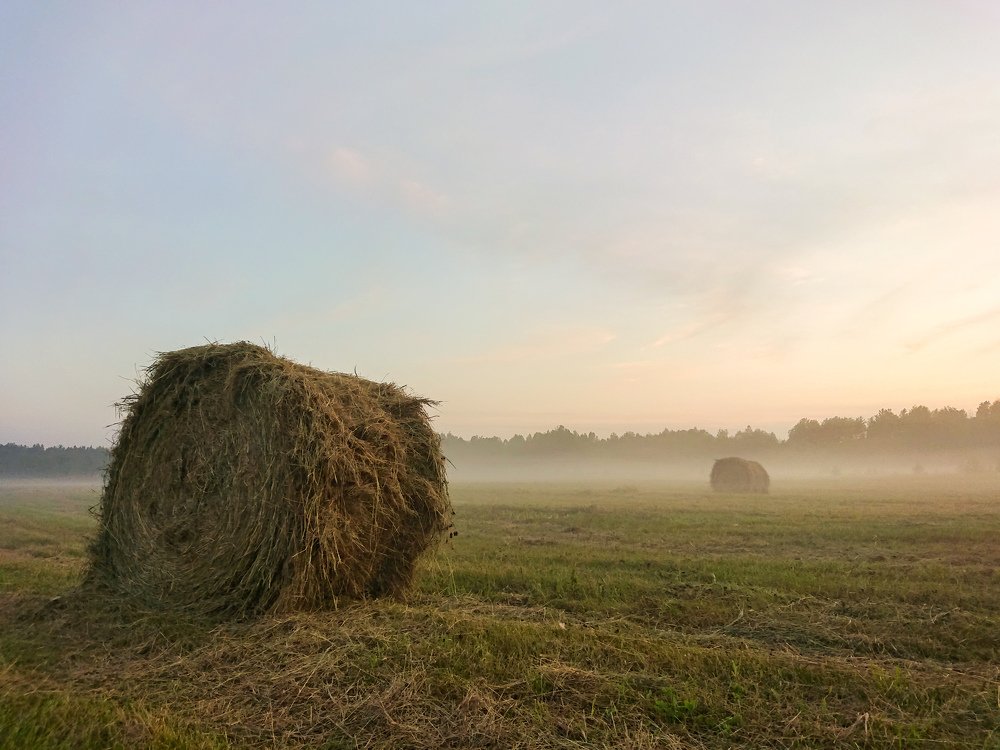 Photograph by Сергей Васьков