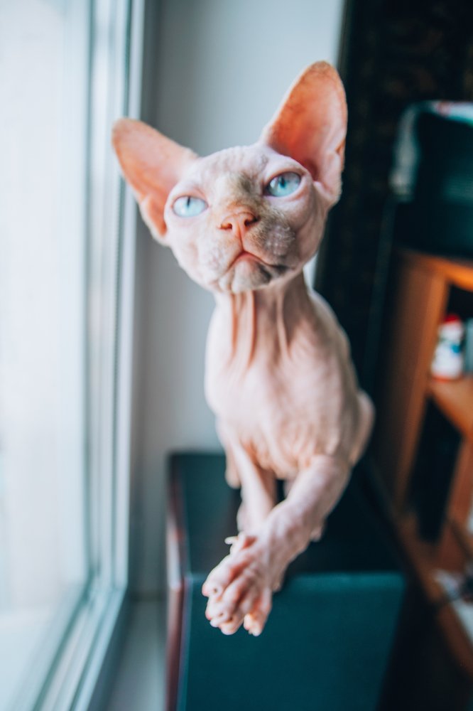 Photograph by Юля Курдова