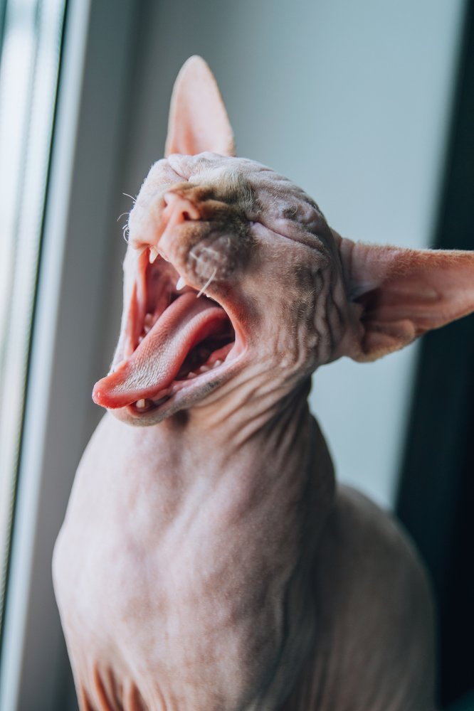 Photograph by Юля Курдова