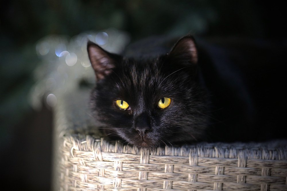 Меланхолия