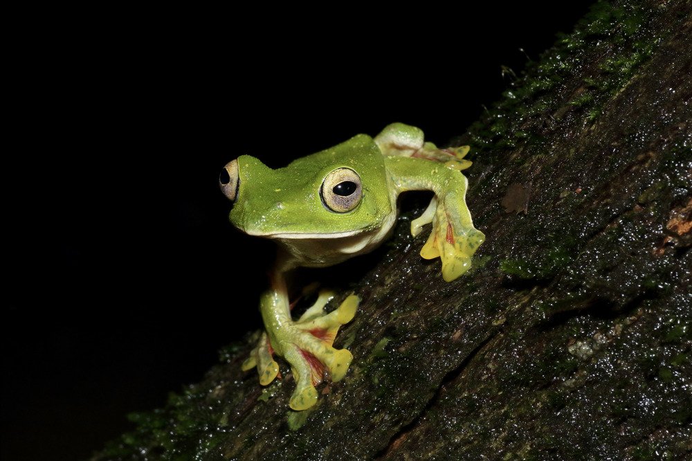 Photograph by Vishal Chandekar