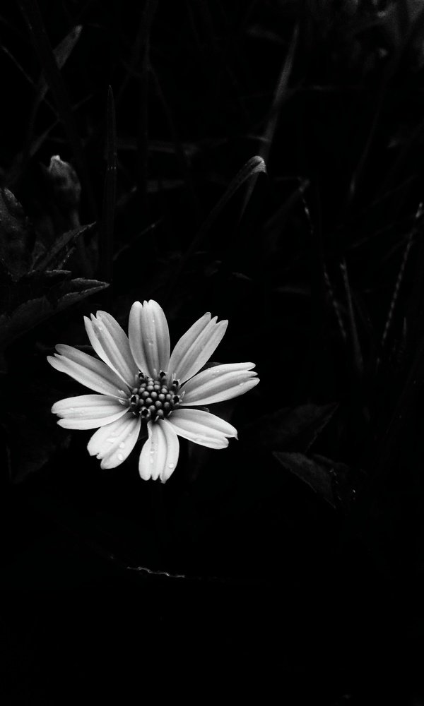Black and white photography