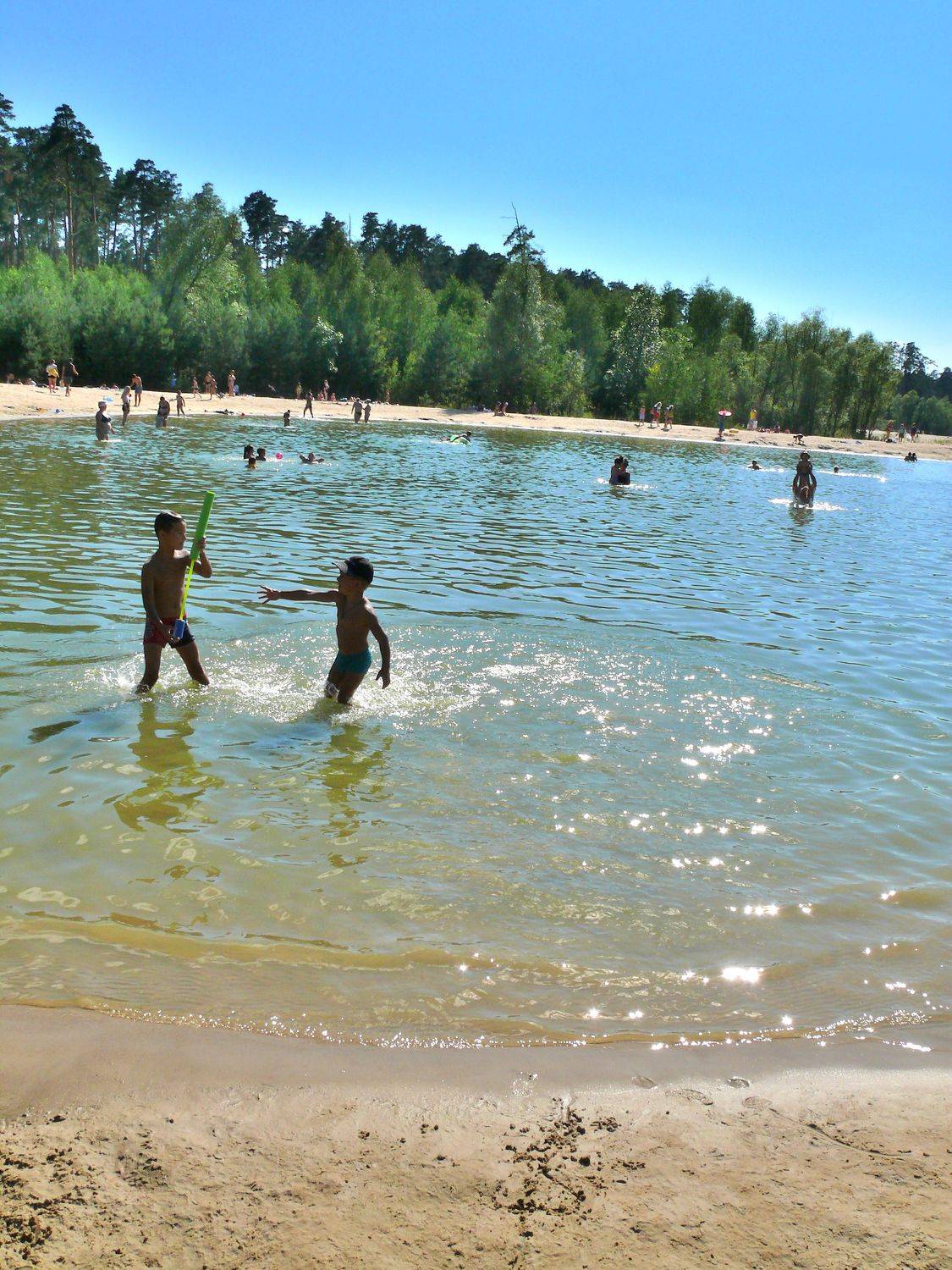 Photo #3510514