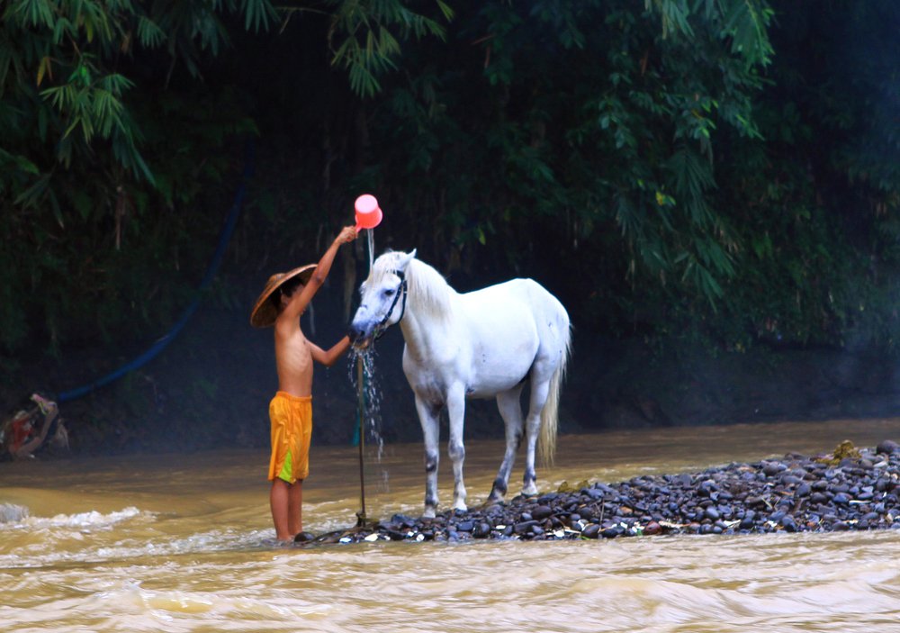 Фотография автора Tutang Hermawan (+62)812 2072-43 Asep