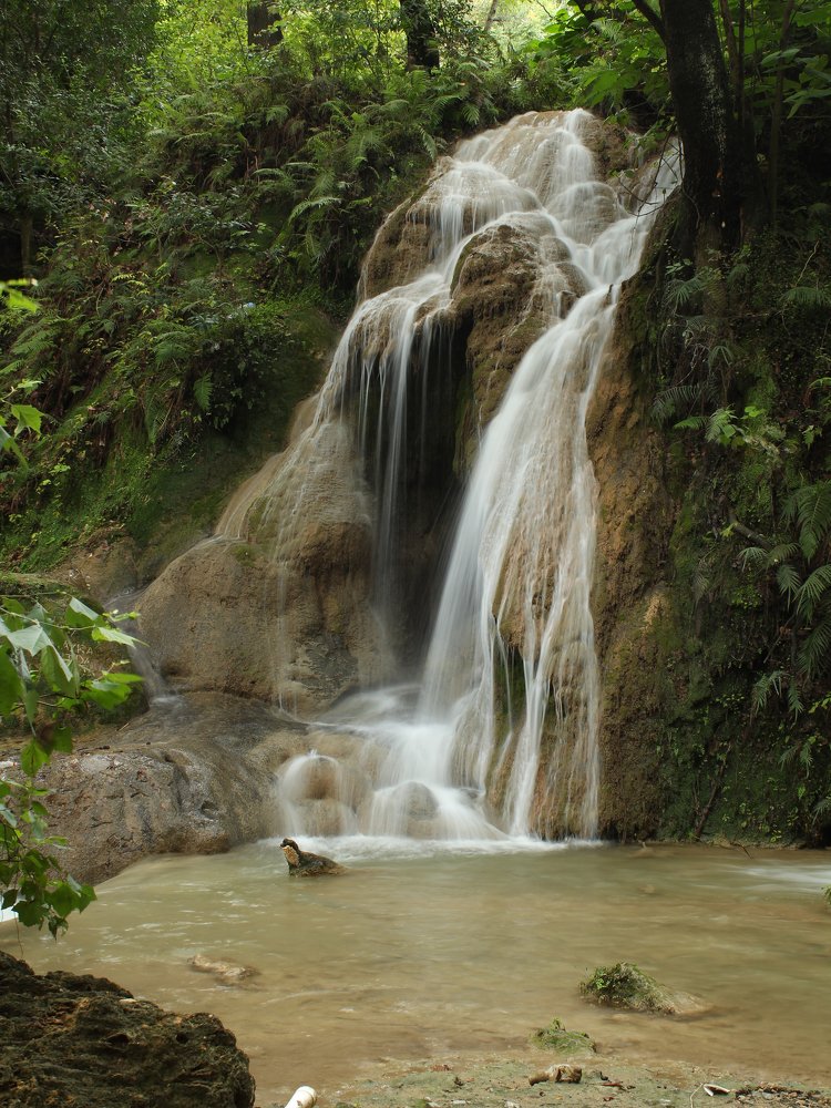 Photograph by Salvador Contreras-Arquieta