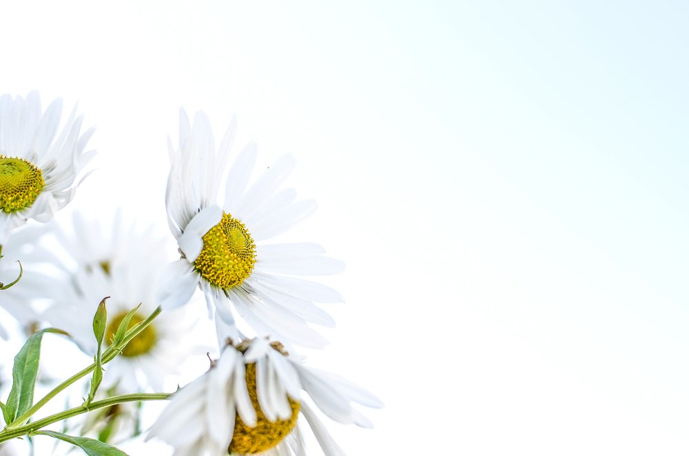 Photograph by Сергей Глухарев