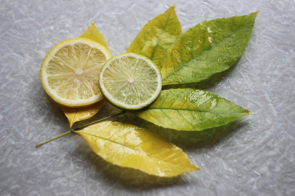 Лимонная осень