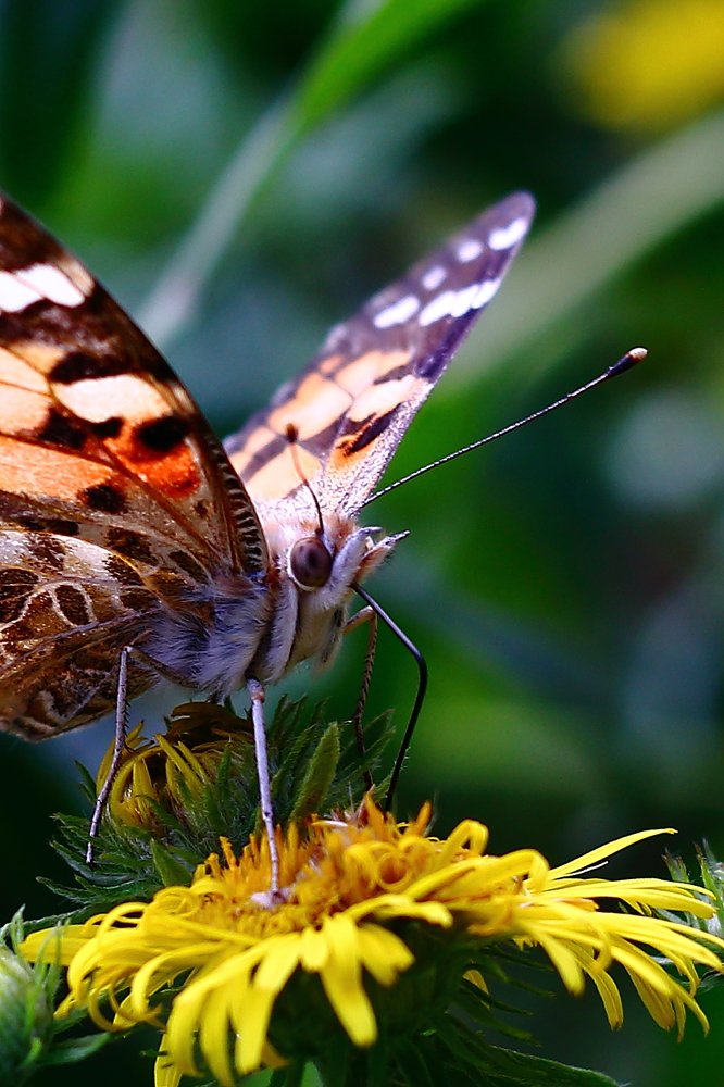 Photograph by Сергей