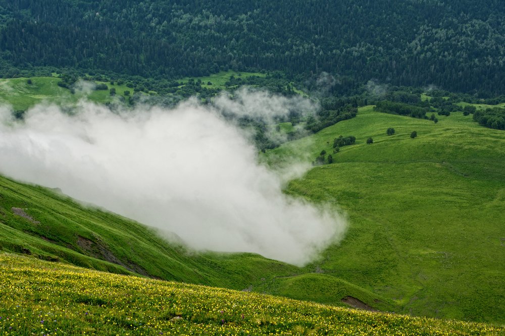 Photograph by Елена Ковалева