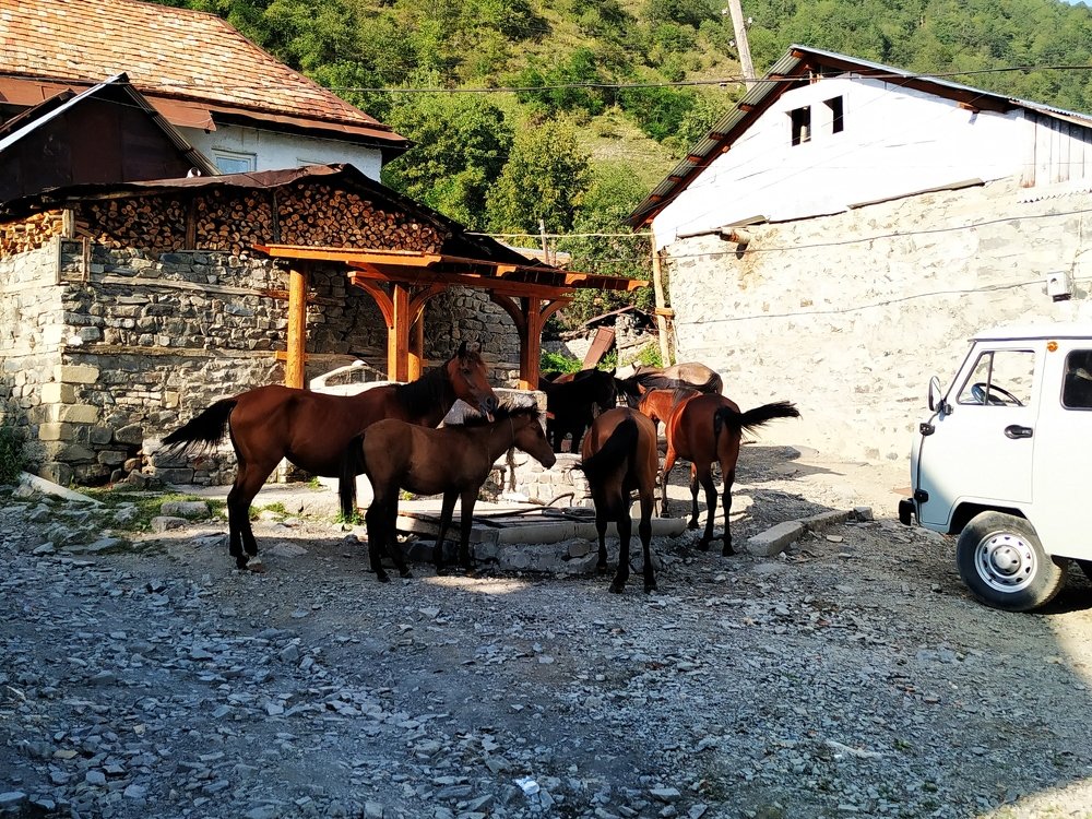 Photograph by Айдын Мехтиев