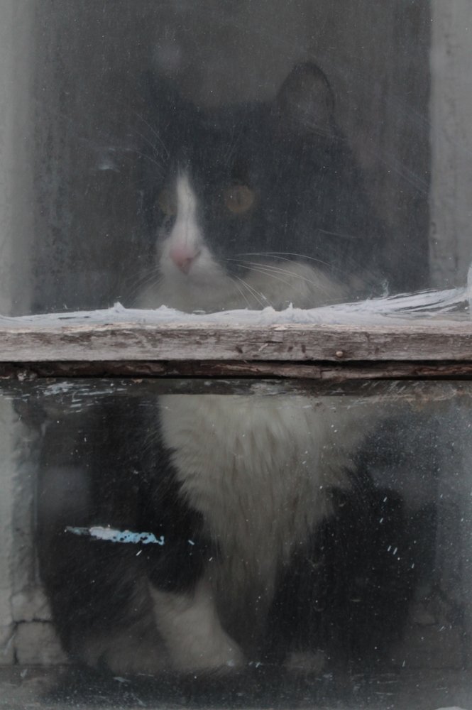 Photograph by Игорь Улитин