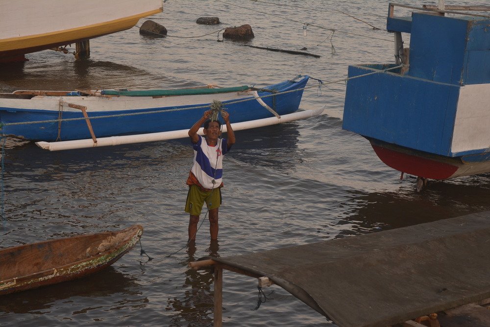 Photograph by Mita Tamara