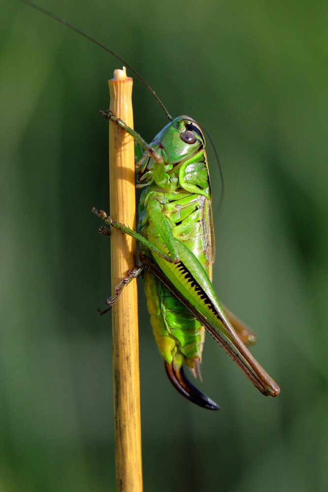 Photograph by Людмила Шалина