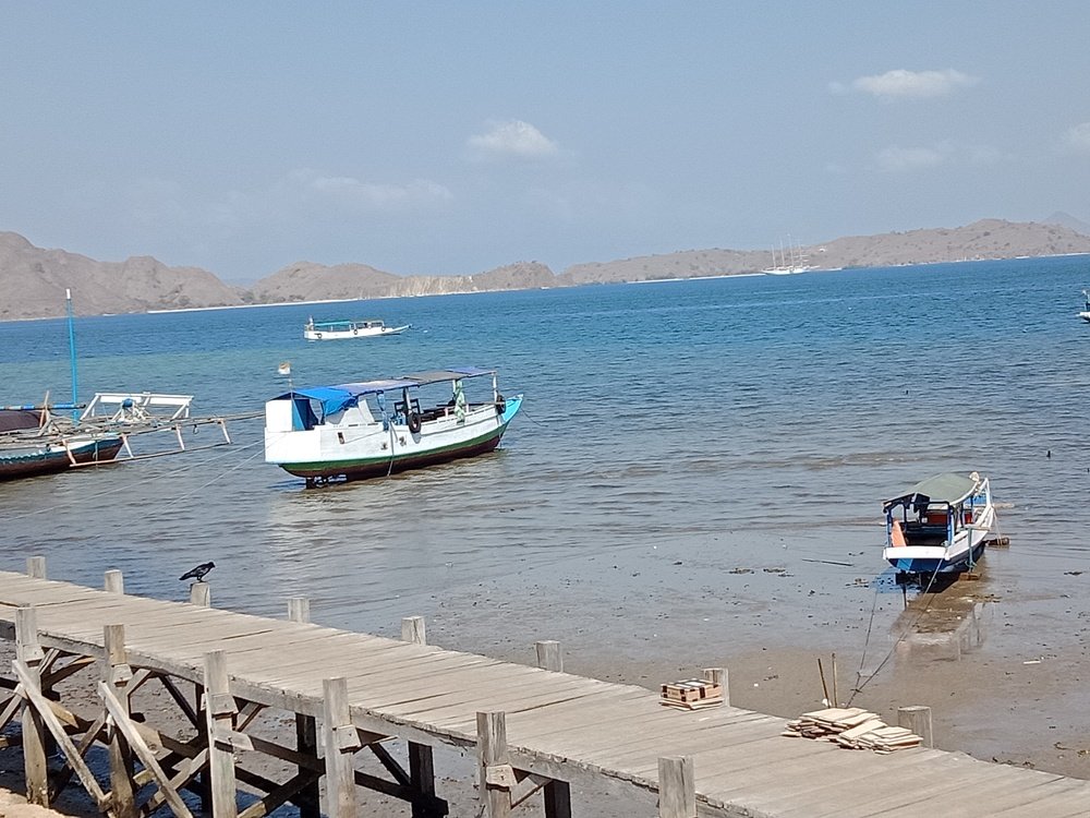 Photograph by Mita Tamara