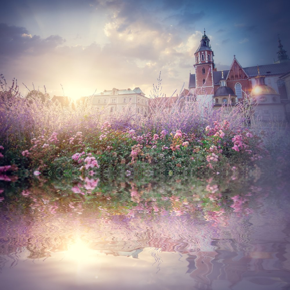 Photograph by Таня Дыма