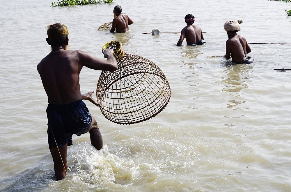 Photograph by kazi arifuzzaman