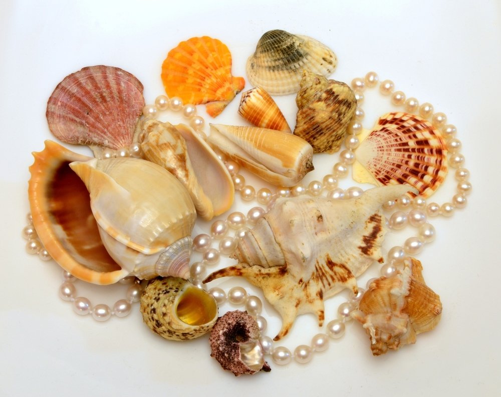 Photograph by Jury Adler