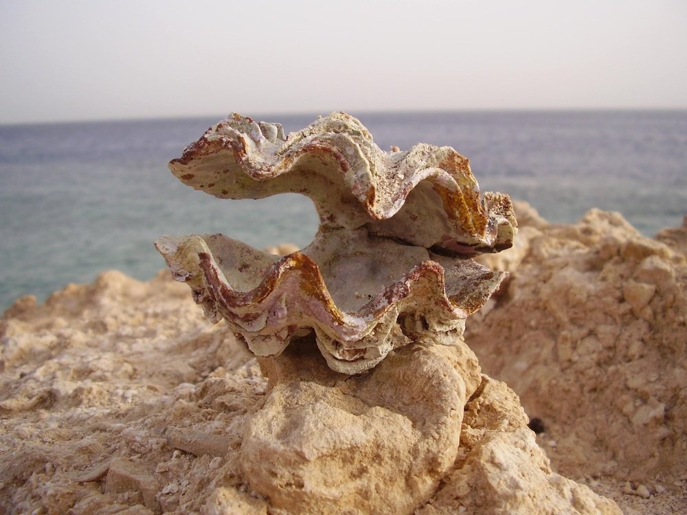 Photograph by Екатерина Пыжова