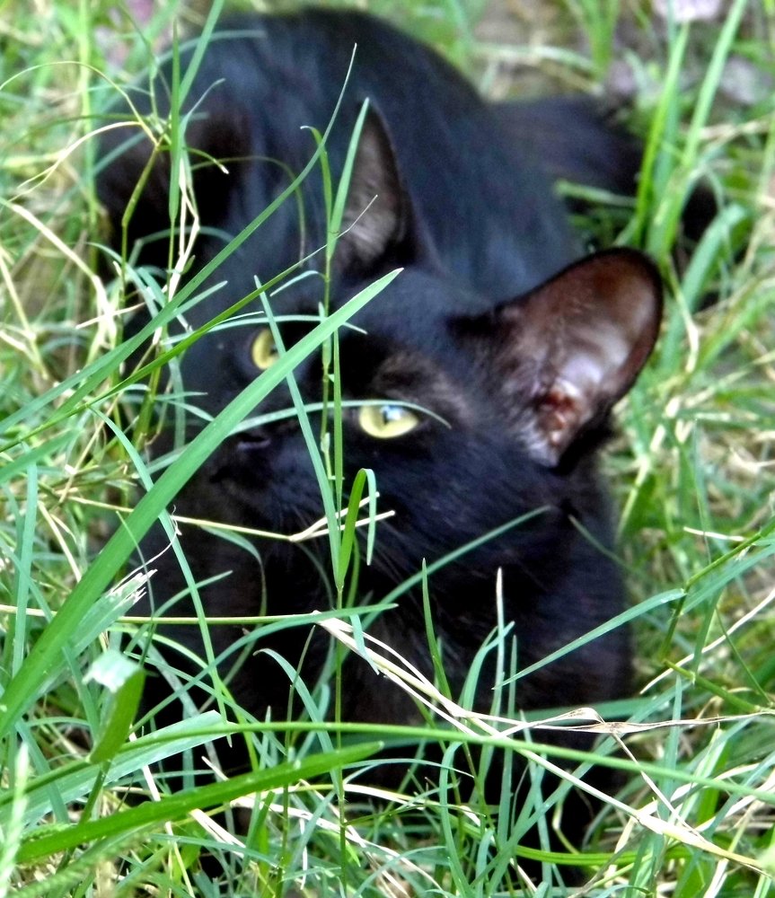 Photograph by Madhumanti Chatterjee