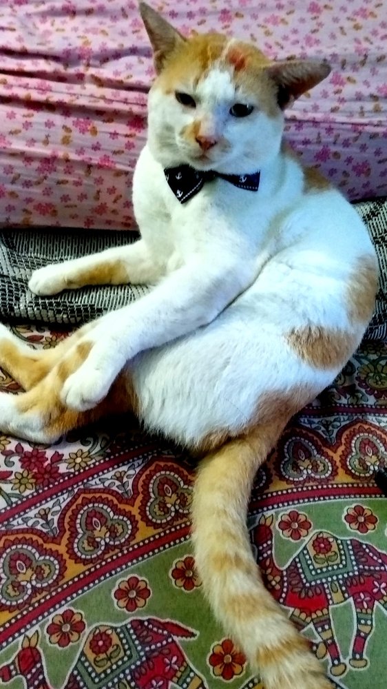 Photograph by Madhumanti Chatterjee