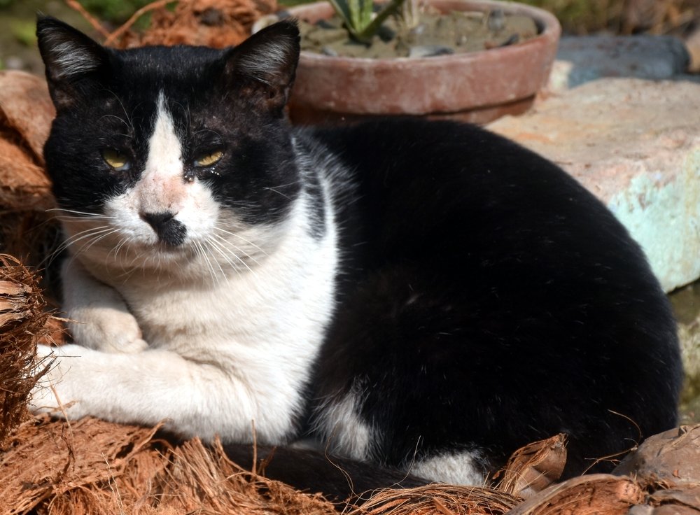 Photograph by Madhumanti Chatterjee