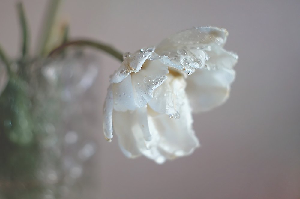 Фотография автора Marina Montale