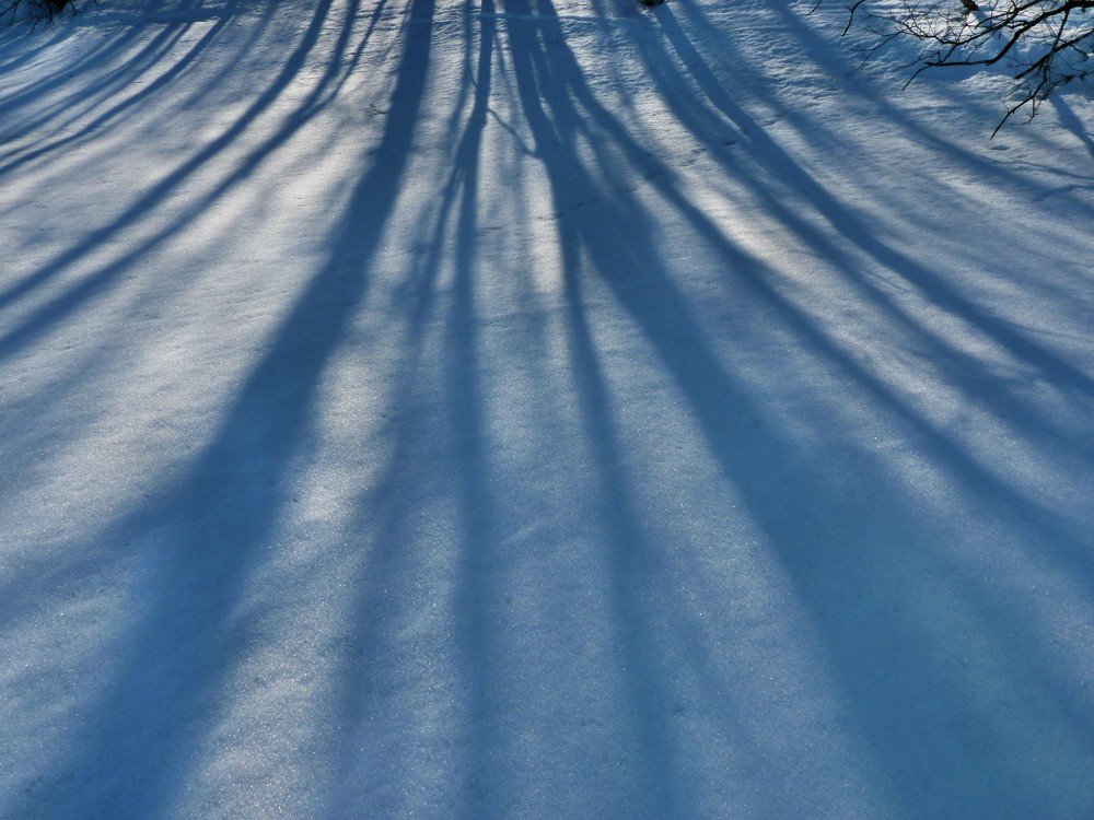 Photograph by Михаил Федюнин