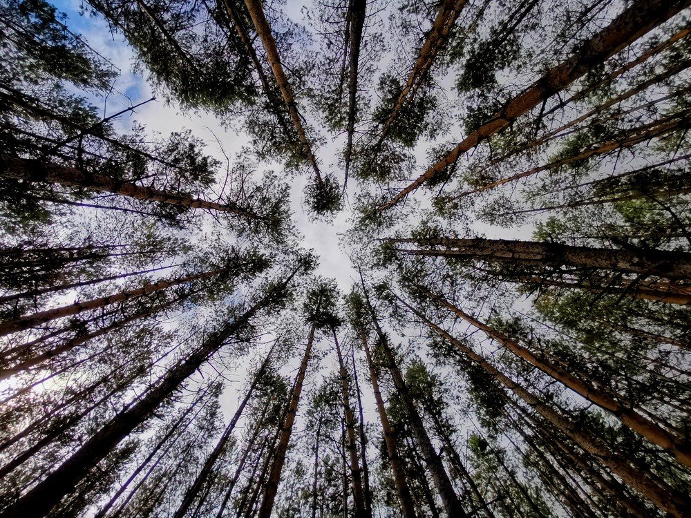 Photograph by Дмитрий