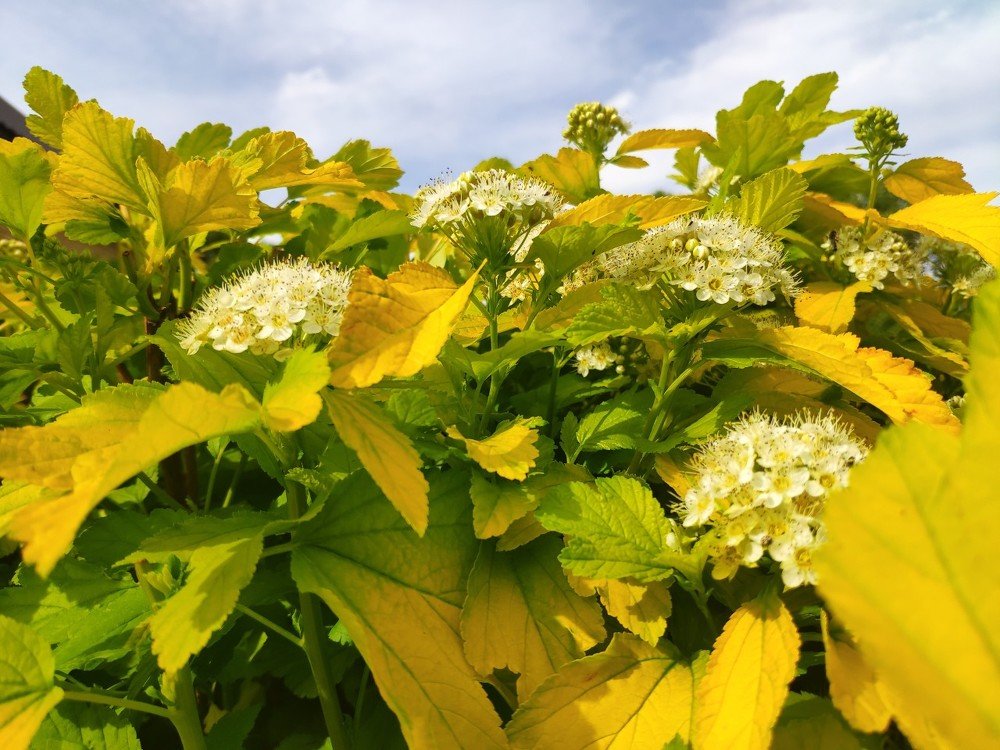 Photograph by Дмитрий