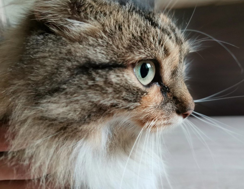 Photograph by Дмитрий