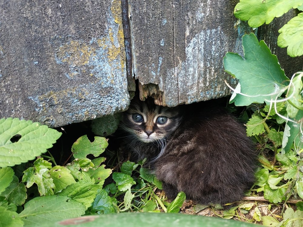 Photograph by Дмитрий