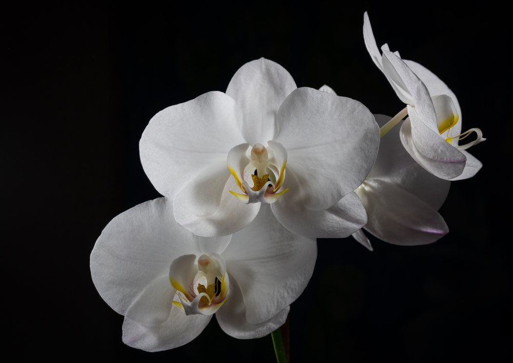 Photograph by Александр Рындин