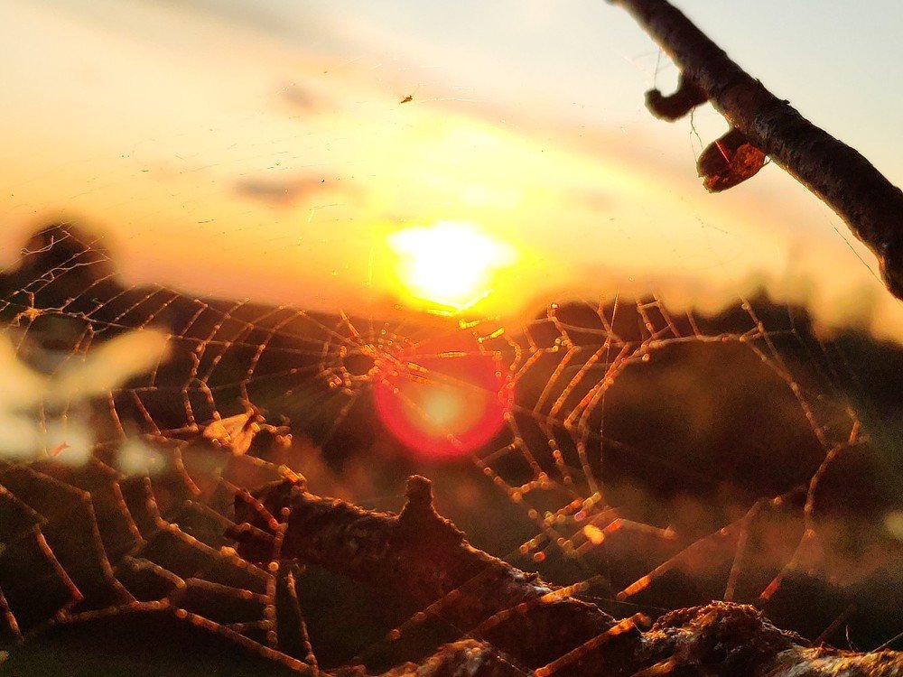 Photograph by Дмитрий