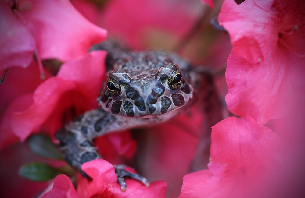 улыбка на камеру!