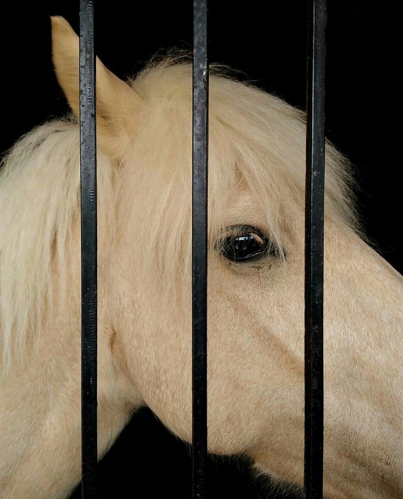 "Взгляд изнутри".