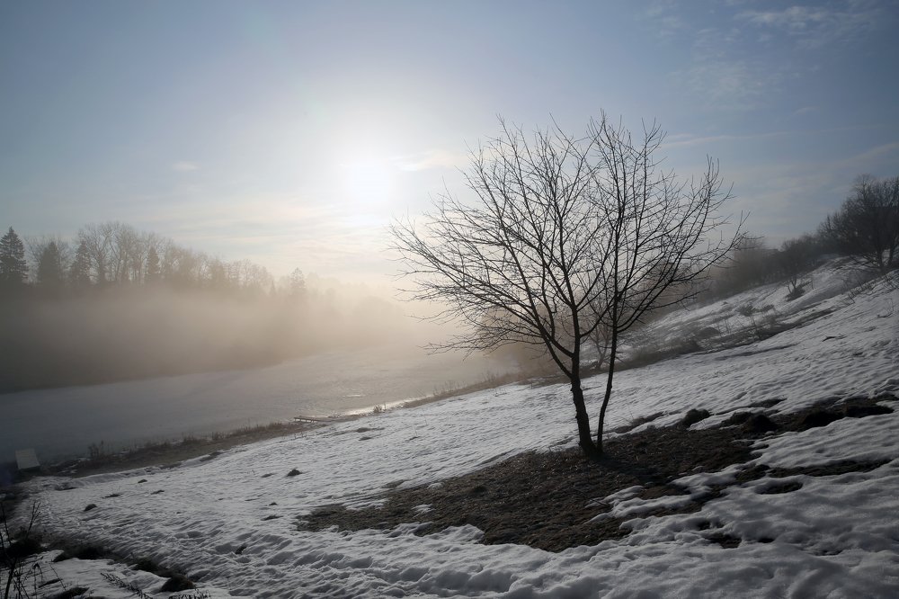 Photograph by Александр Цабель