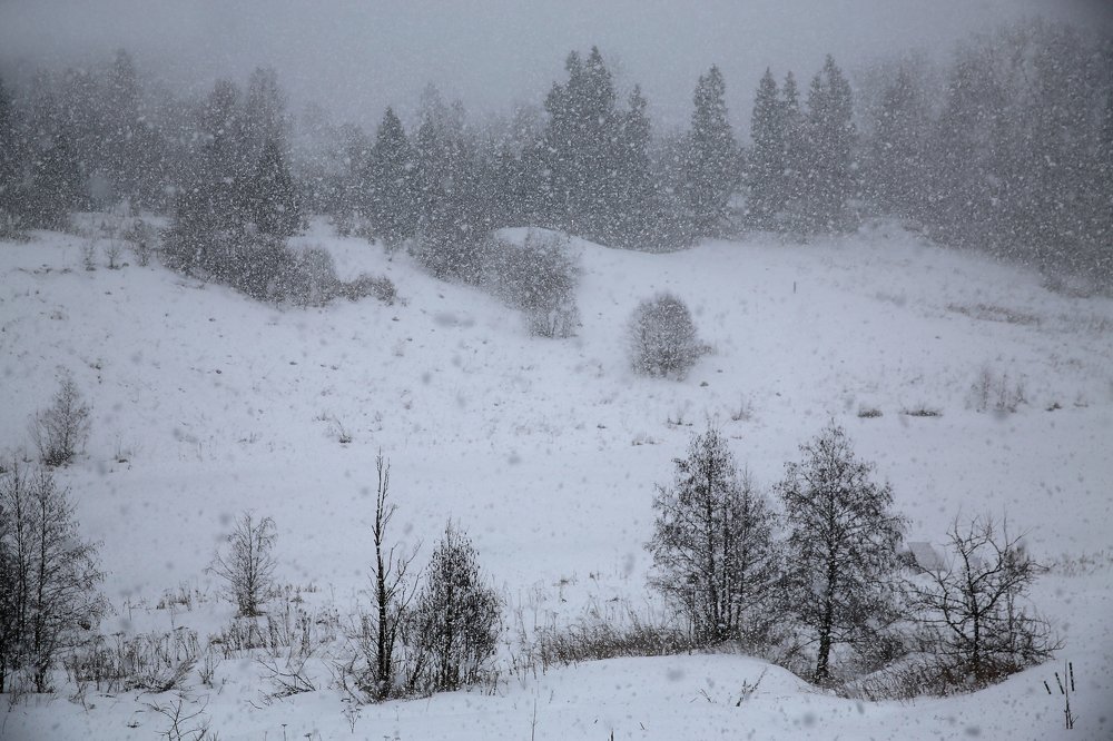 Photograph by Александр Цабель