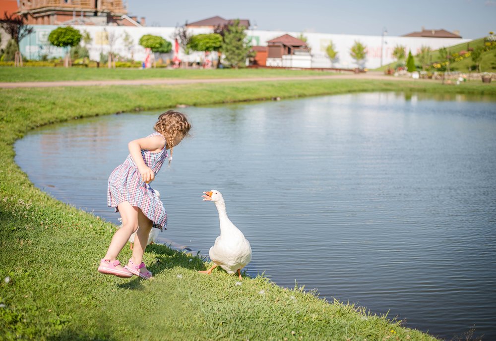 Photograph by Анастасия Мельник