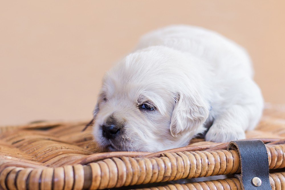 Photograph by Анастасия Мельник