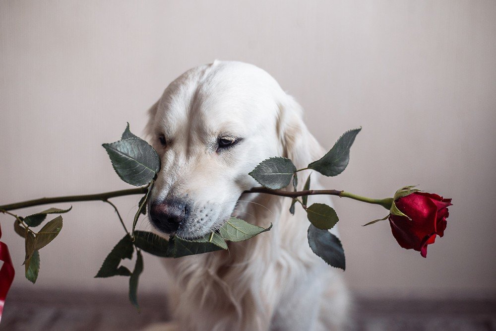 Photograph by Анастасия Мельник