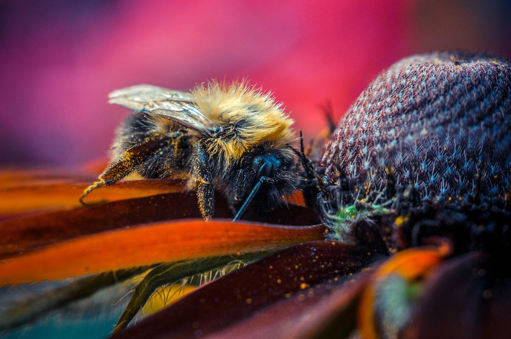 Photograph by Олеся zme