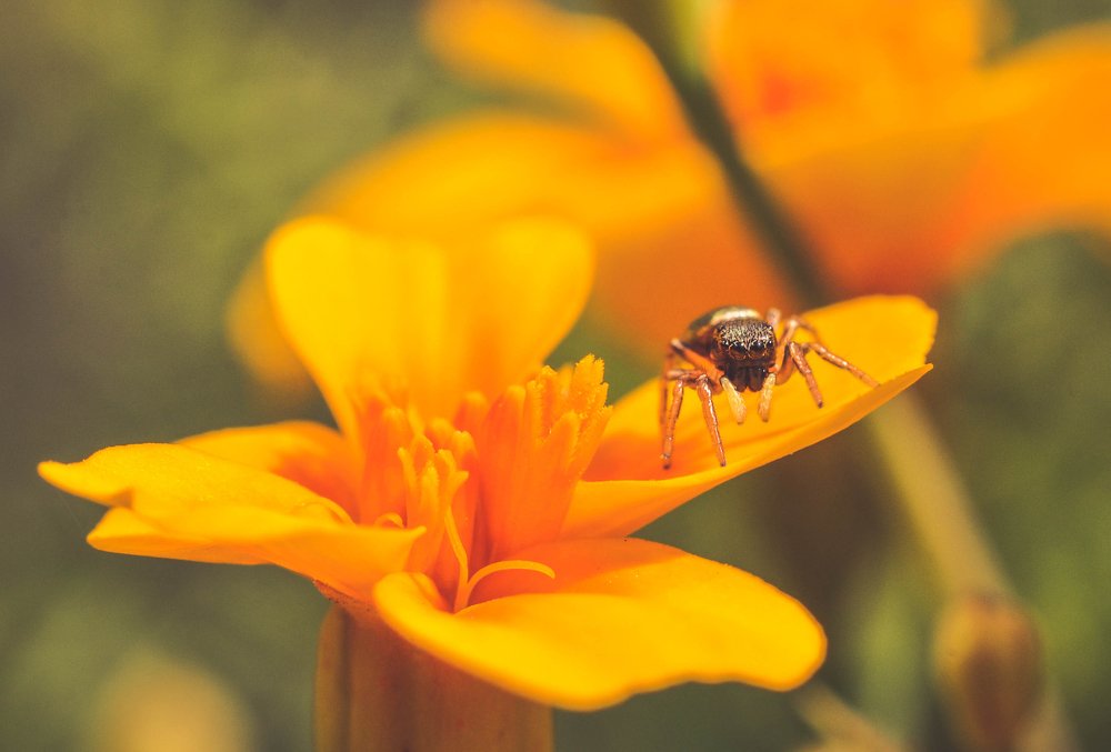 Photograph by Олеся zme