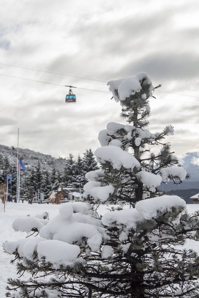 Photograph by Monica Macri