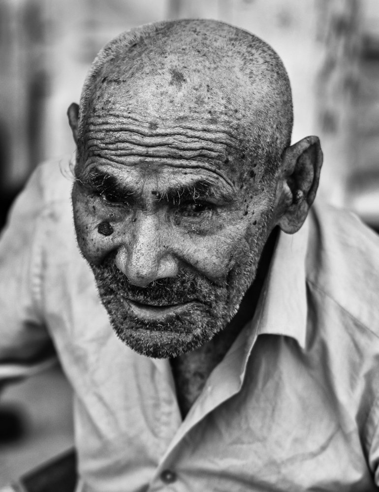 Photograph by shamal mohammed