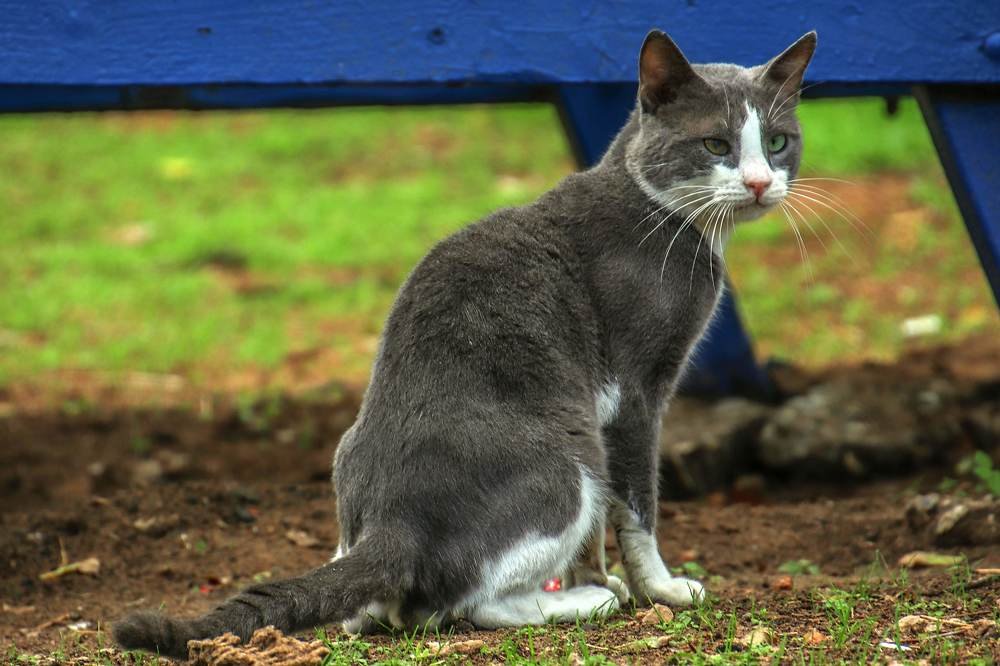 Photograph by Galina Rashap