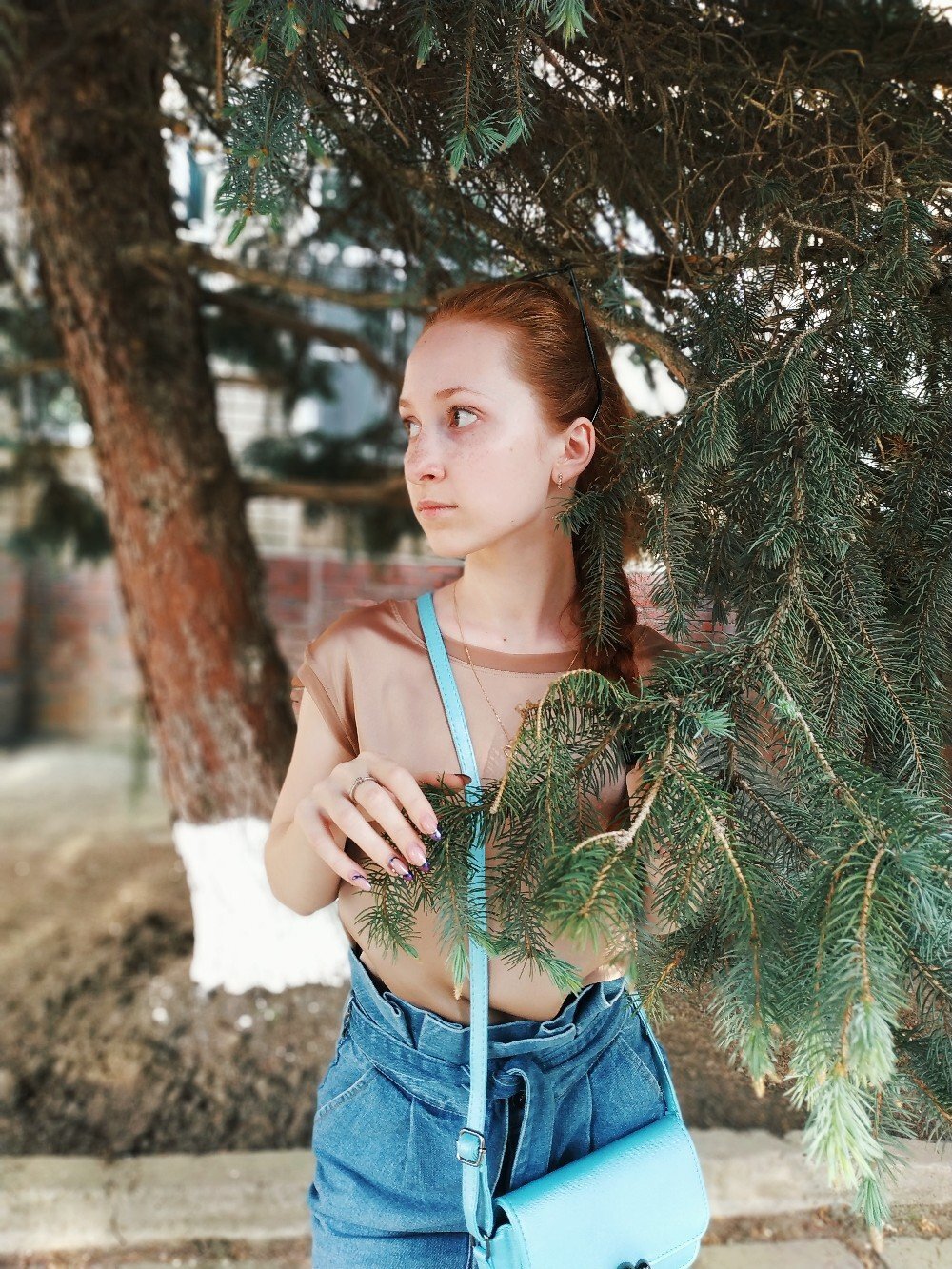Photo #3511734