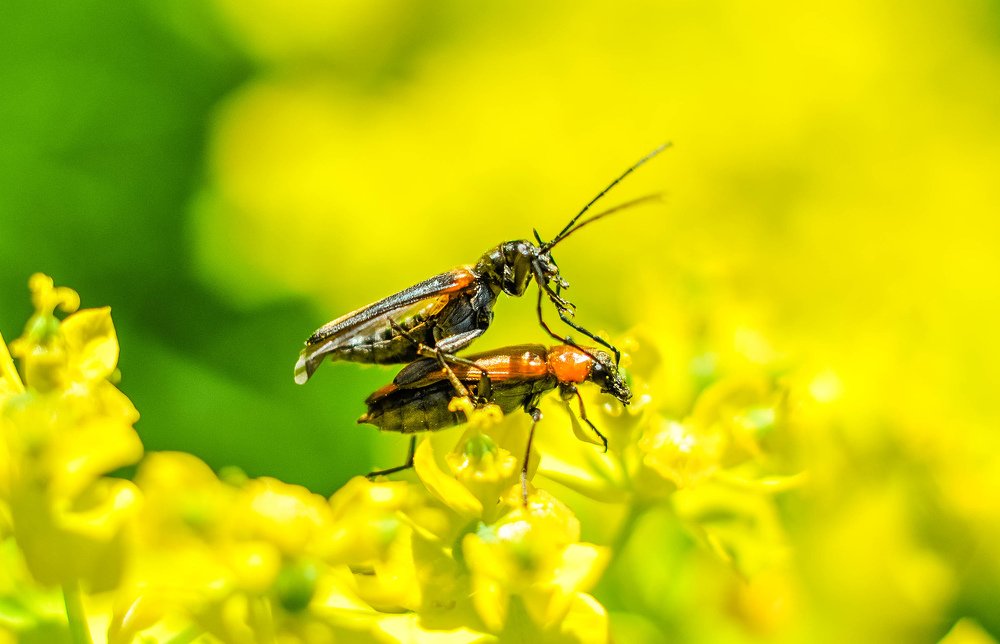 Photograph by Олеся zme