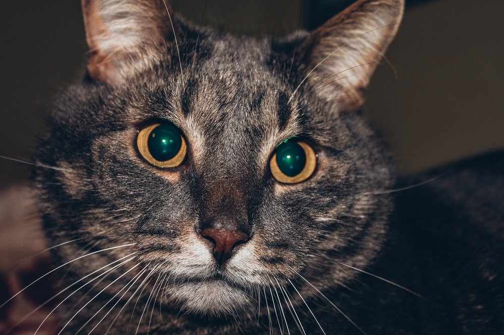 Photograph by Alexey Nikitin