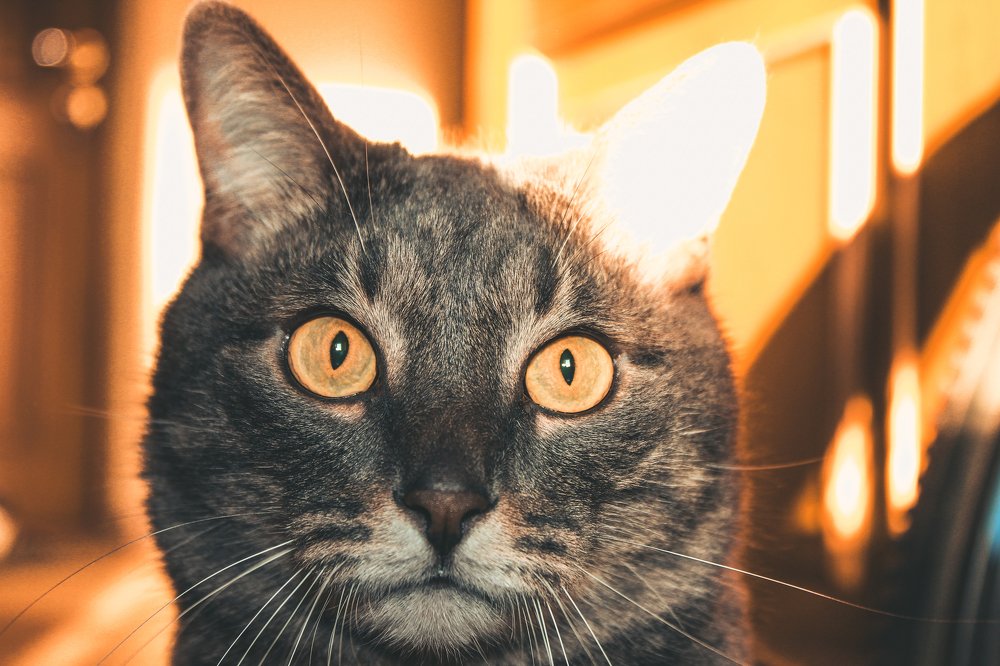 Photograph by Alexey Nikitin