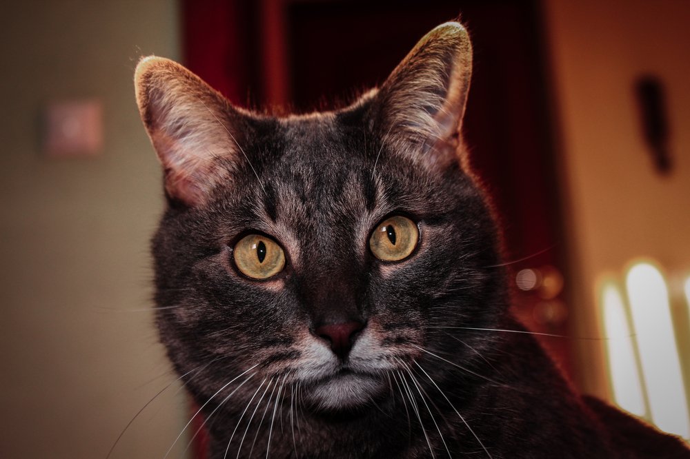 Photograph by Alexey Nikitin